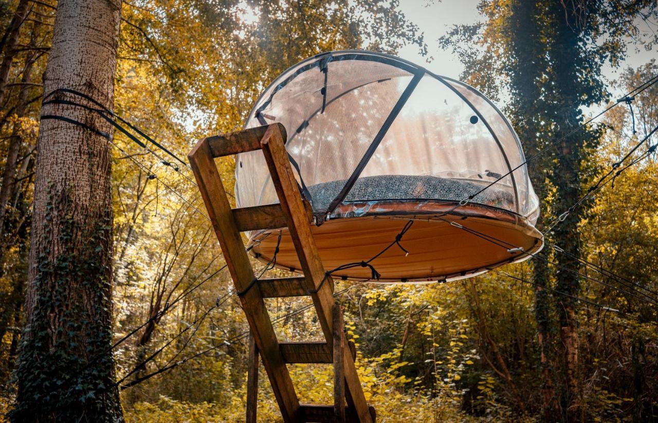 Les Bulles De La Maison Du Rocher Noisy-sur-Ecole エクステリア 写真